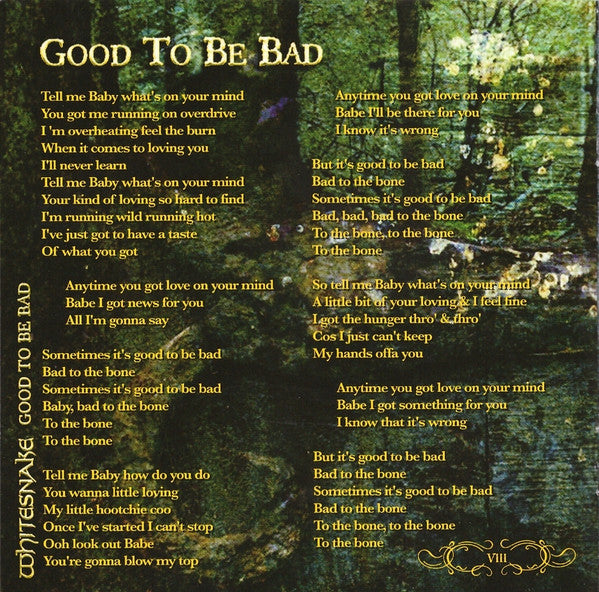 Good To Be Bad