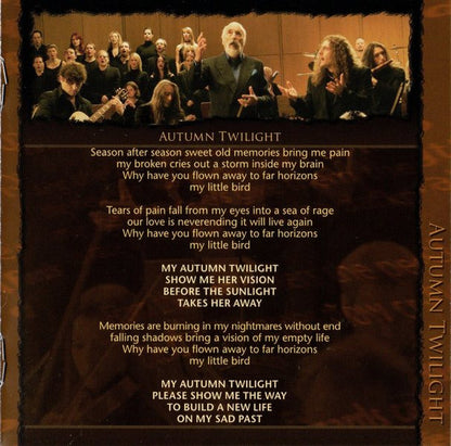 The Magic Of The Wizard's Dream