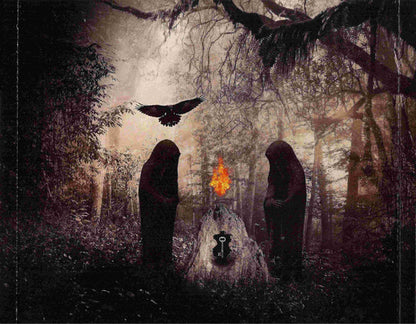 The Blaze