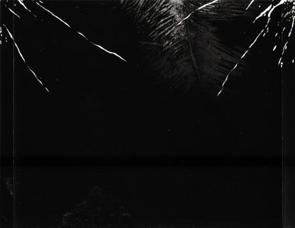 Tattooed On My Brain