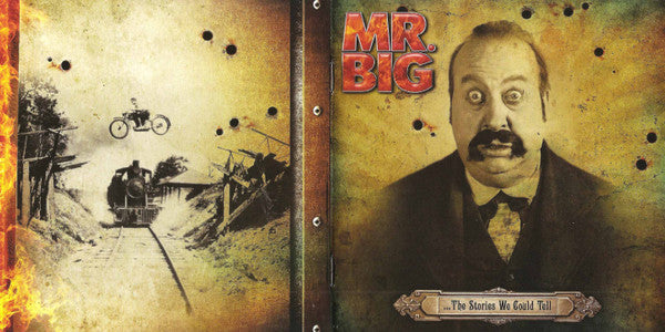 ...The Stories We Could Tell