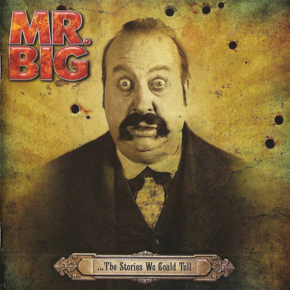 ...The Stories We Could Tell