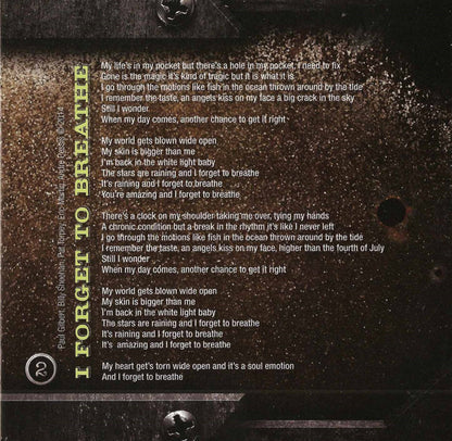 ...The Stories We Could Tell